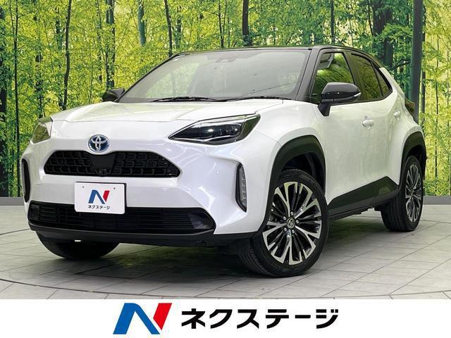 20905943_carP_l_1.jpg