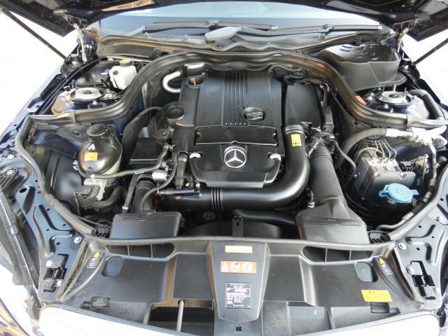 22429073_carP_l_17.jpg