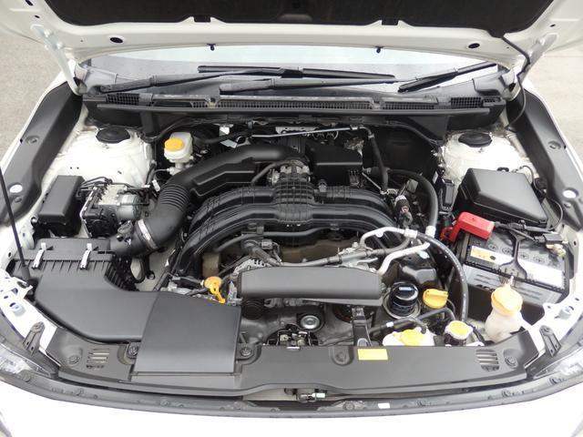 21632613_carP_l_18.jpg