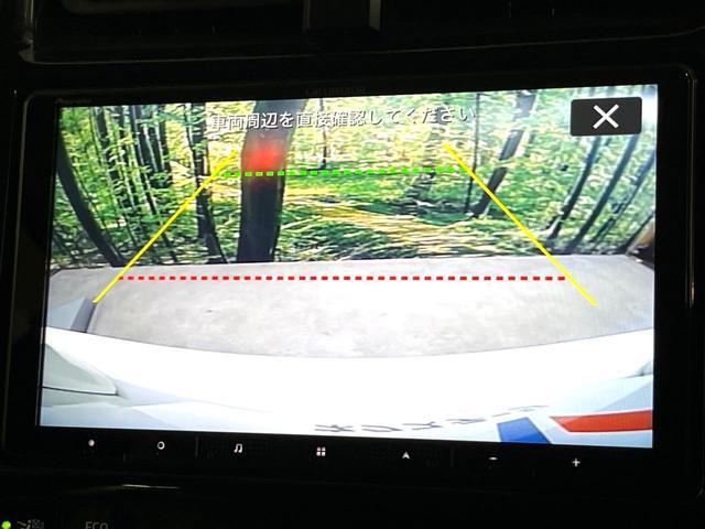 21909721_carP_l_10.jpg