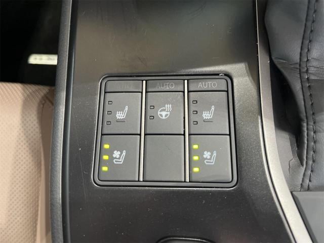 2cafddcf399522768431039745622f40.jpg