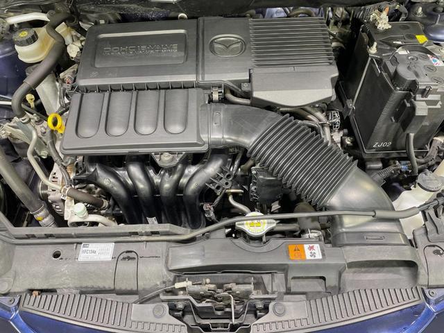 22467930_carP_l_11.jpg