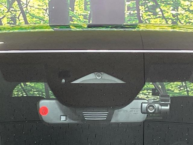 21254826_carP_l_15.jpg