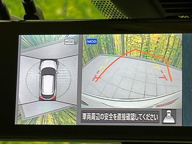 20905949_carP_l_4.jpg