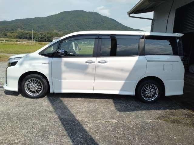 9800071A30251217W00217.jpg