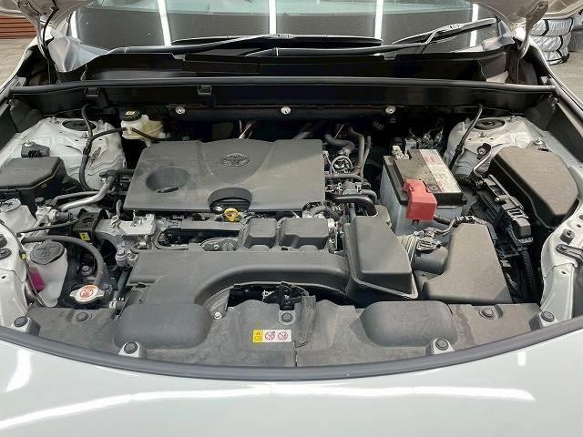 19893514_carP_l_8.jpg