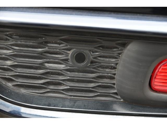 22895514_carP_l_18.jpg