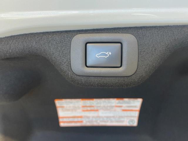 22719853_carP_l_19.jpg