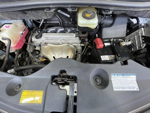 21237160_carP_l_18.jpg
