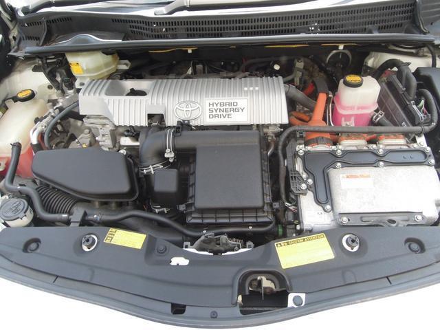 23048519_carP_l_12.jpg