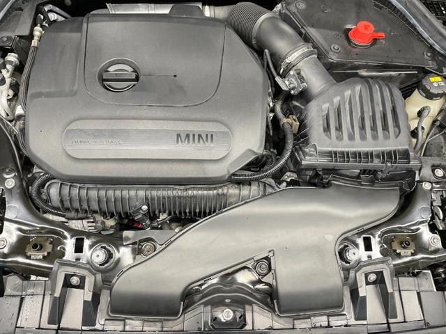 20106729_carP_l_16.jpg