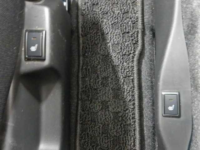 21270905_carP_l_13.jpg