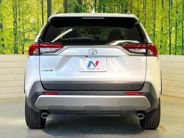 21637565_carP_l_12.jpg