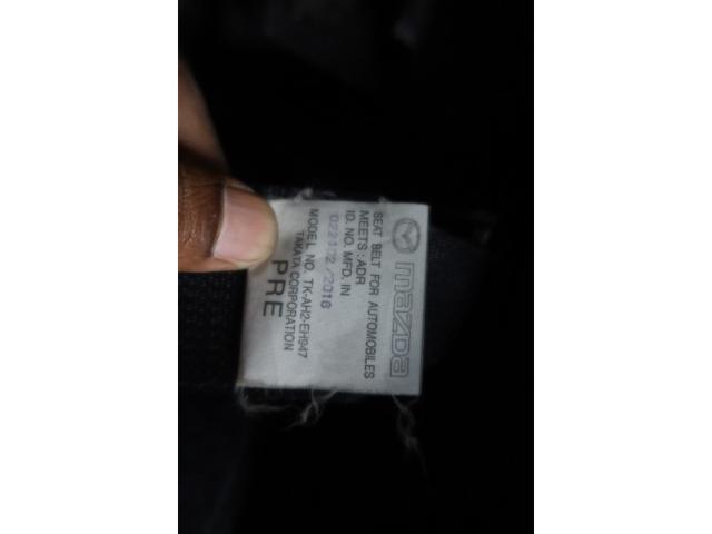 457013723a4d50b00aa56d219508df9b.jpeg