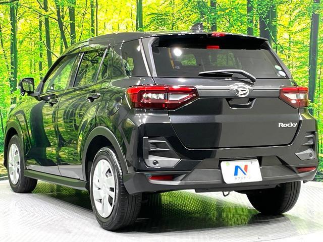 22262111_carP_l_12.jpg