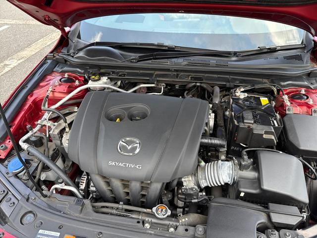 1166145A30250801W00412.jpg