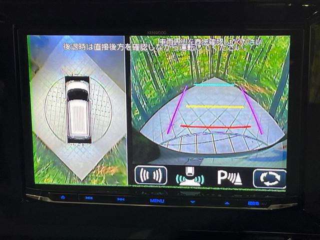 22506279_carP_l_4.jpg