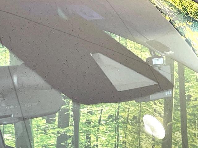 22355018_carP_l_15.jpg