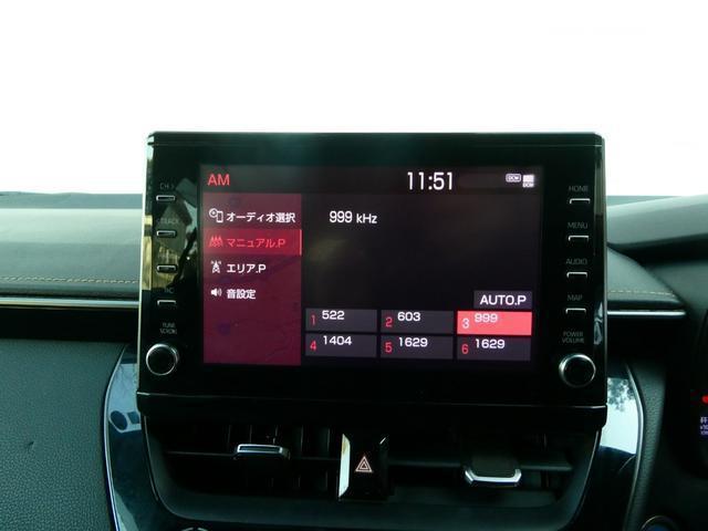 21891309_carP_l_4.jpg