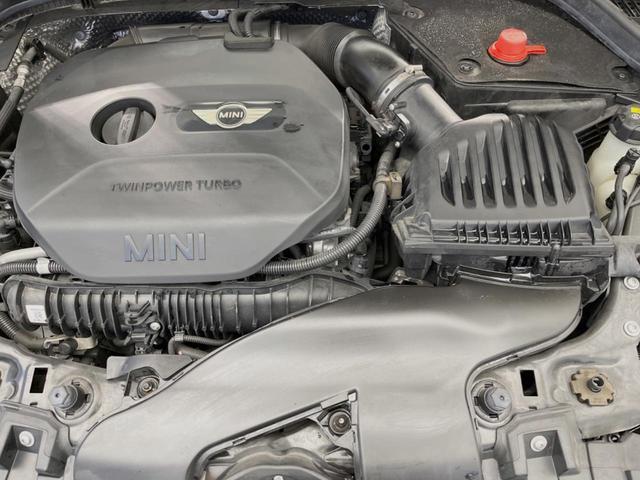 22076358_carP_l_12.jpg