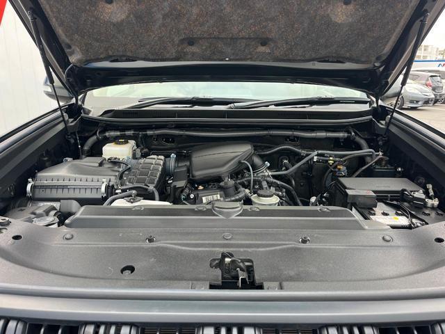23094018_carP_l_18.jpg