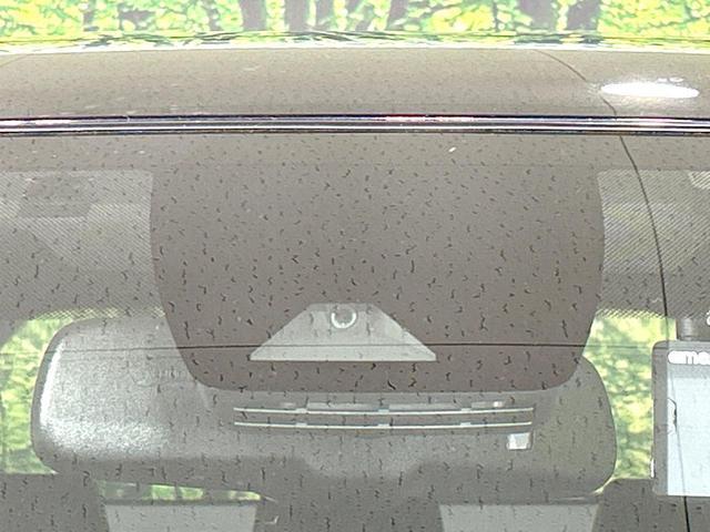 21654786_carP_l_13.jpg