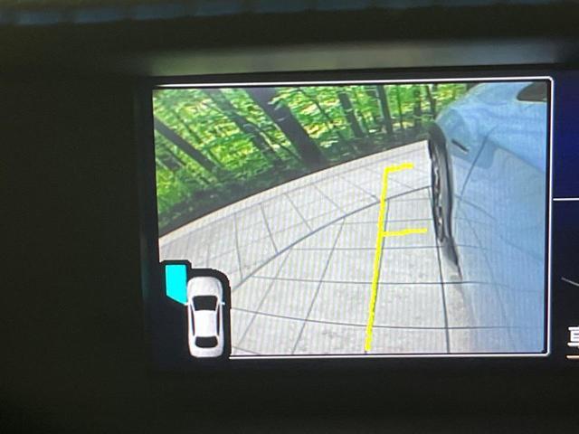 21344073_carP_l_10.jpg