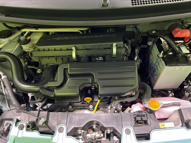 22680964_carP_l_16.jpg