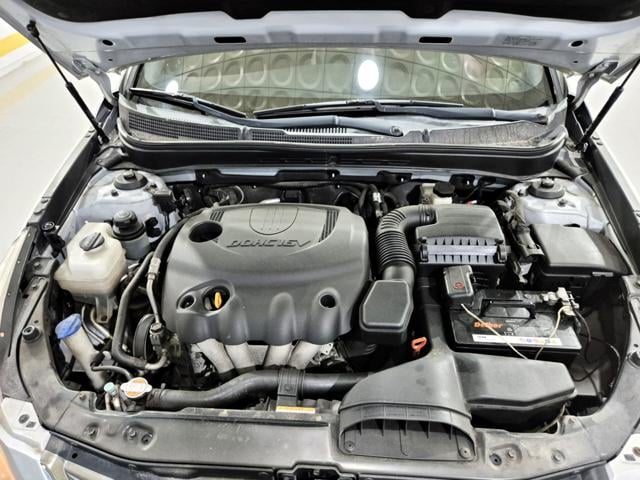 a318a606afd07d3f7aa5d2a304144519.jpeg