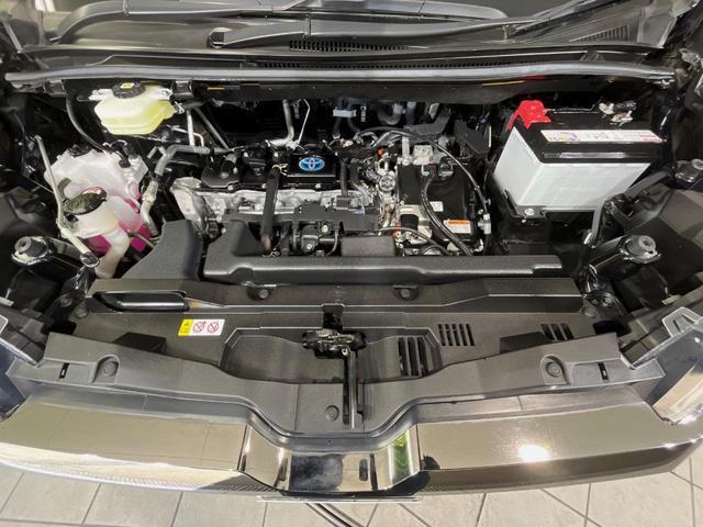 22681017_carP_l_16.jpg