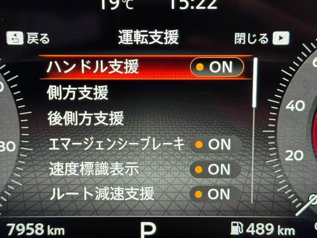 23248762_carP_l_19.jpg