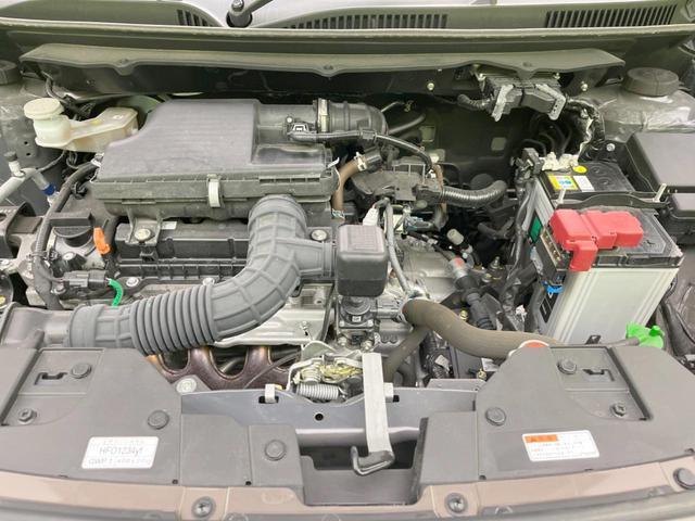 22505833_carP_l_16.jpg