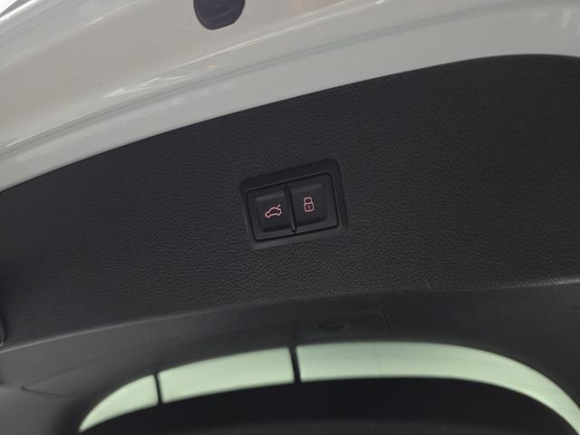 f64ebe77e1b49180a9df925ebef55550.jpeg
