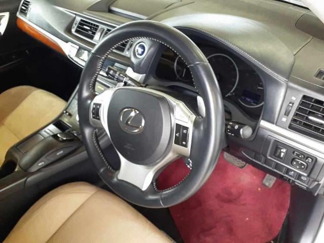 16240467_carP_l_10.jpg