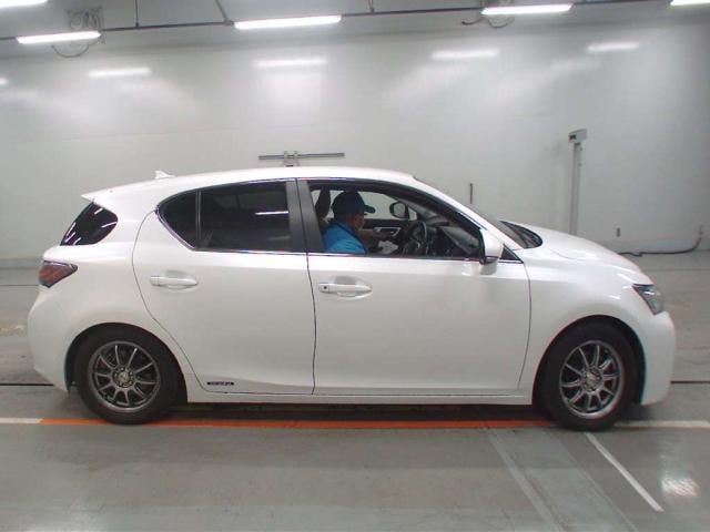 16240467_carP_l_7.jpg