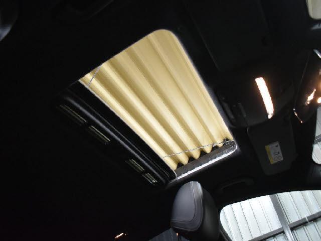 22708169_carP_l_10.jpg