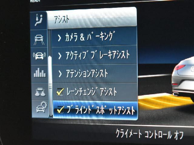 22708169_carP_l_14.jpg
