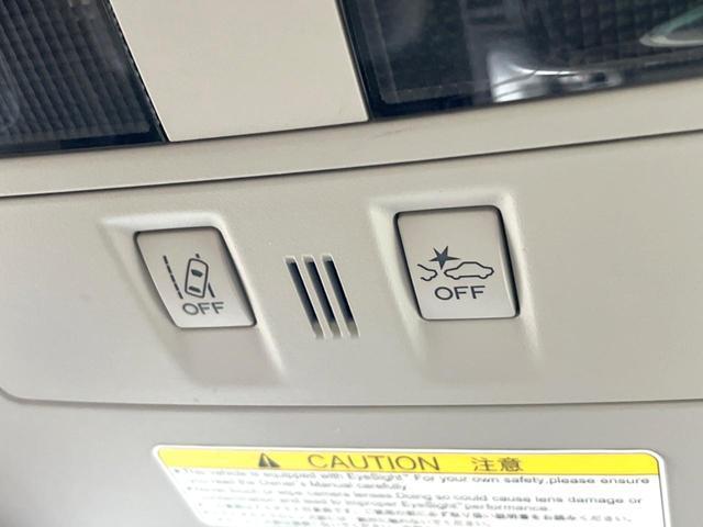 19991768_carP_l_15.jpg