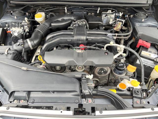 19991768_carP_l_16.jpg