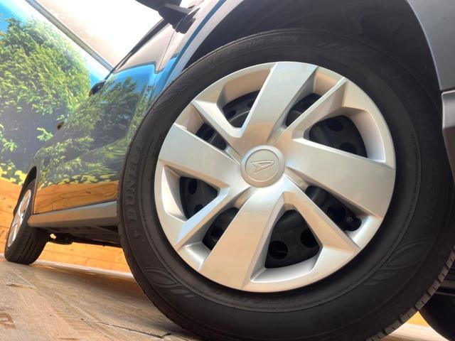 20728561_carP_l_6.jpg