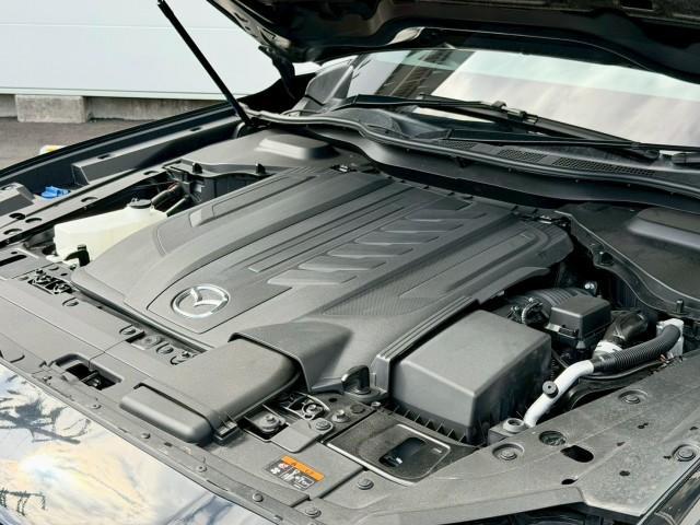 22665699_carP_l_20.jpg