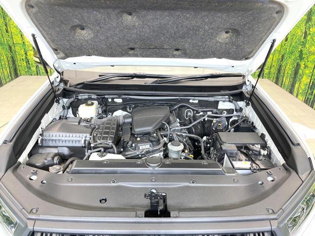 20008071_carP_l_16.jpg