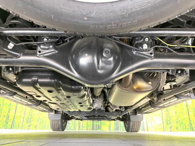 20008071_carP_l_18.jpg