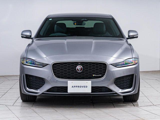 05ec4087ef22e30ae619e4e25b848ded.jpg