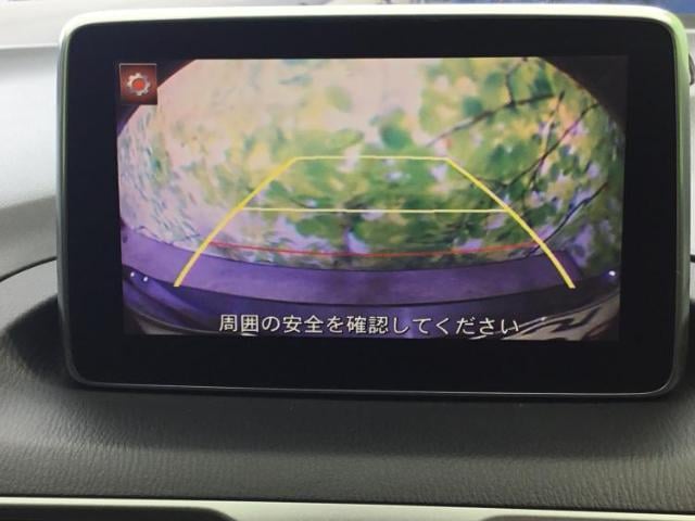 17358218_carP_l_7.jpg