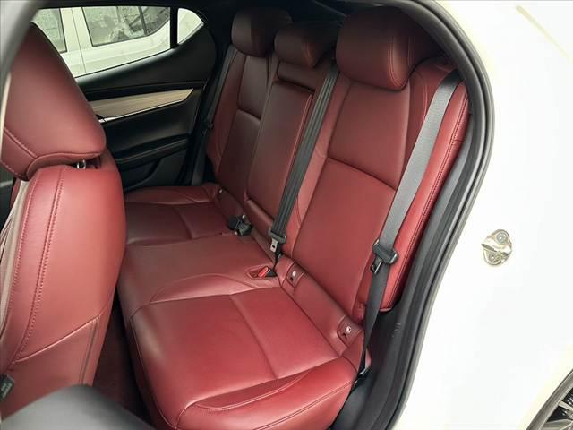 693f7f3710be80a9ef3dc7fa4141335b.jpg