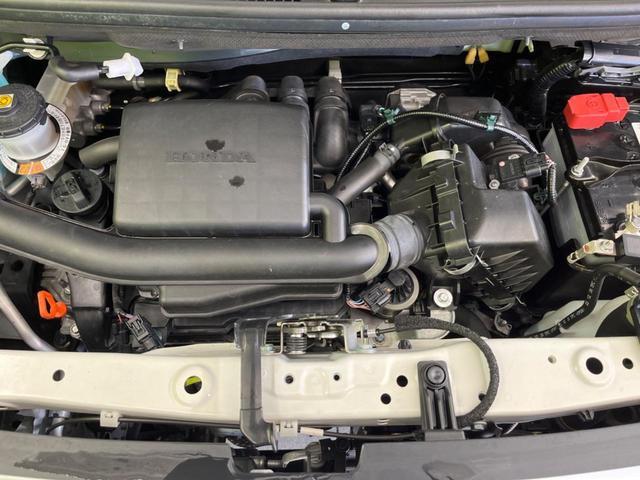 21946952_carP_l_16.jpg