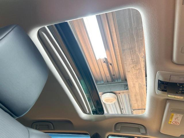 21566237_carP_l_15.jpg