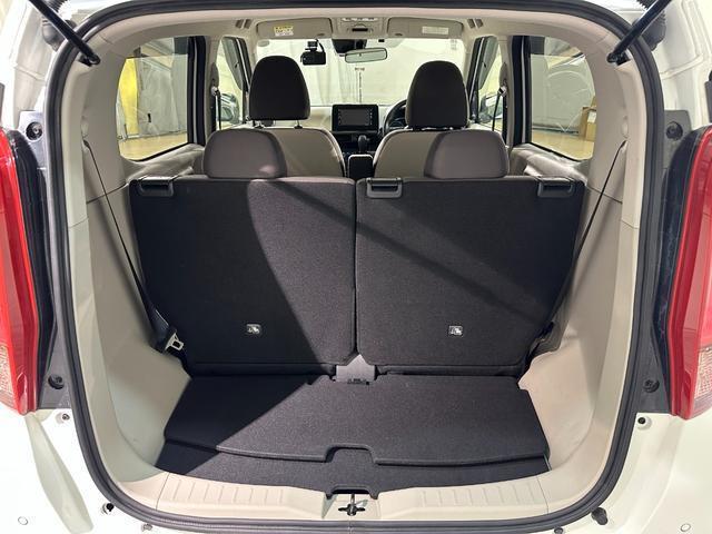 21745988_carP_l_16.jpg