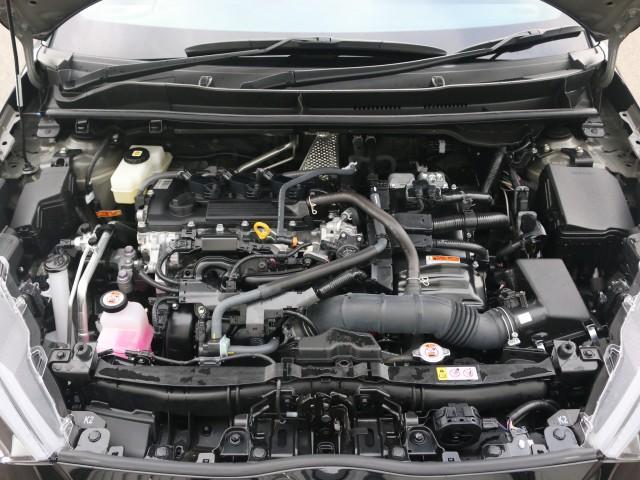 21785905_carP_l_17.jpg